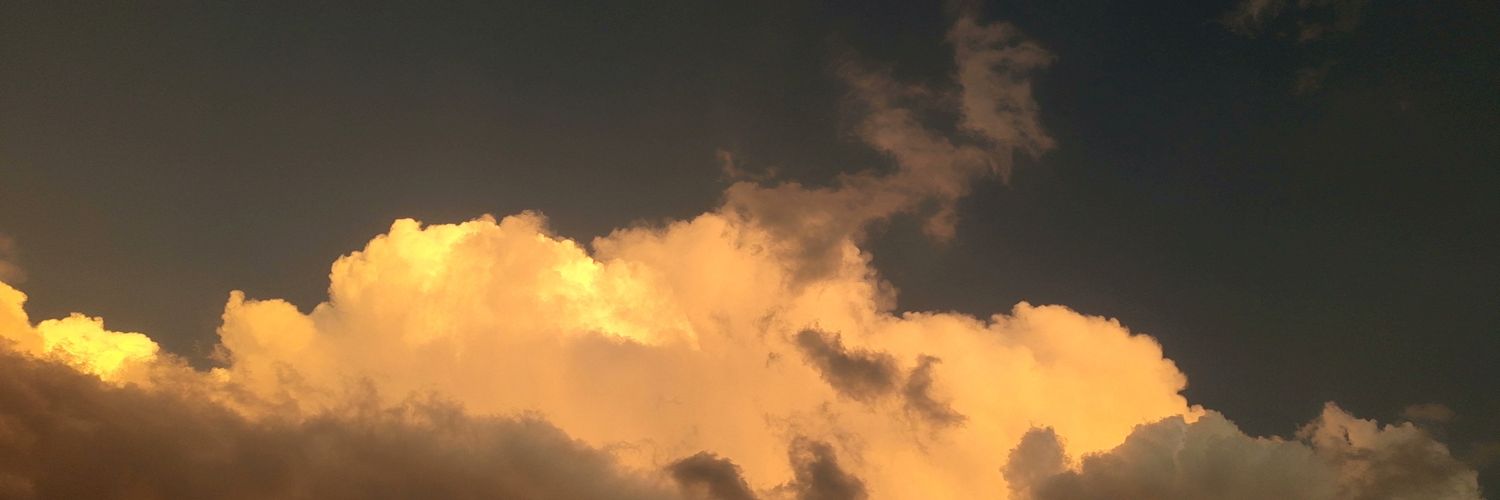 傻乎乎的狐狸's banner