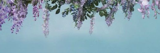l a u r a's banner