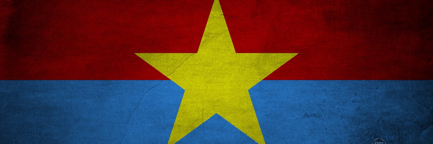 theasiansenseition's banner