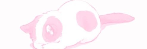 dolly ౨ৎ's banner