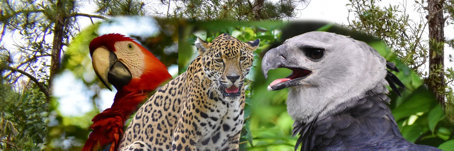 The Belize Zoo and Tropical Education Center's banner