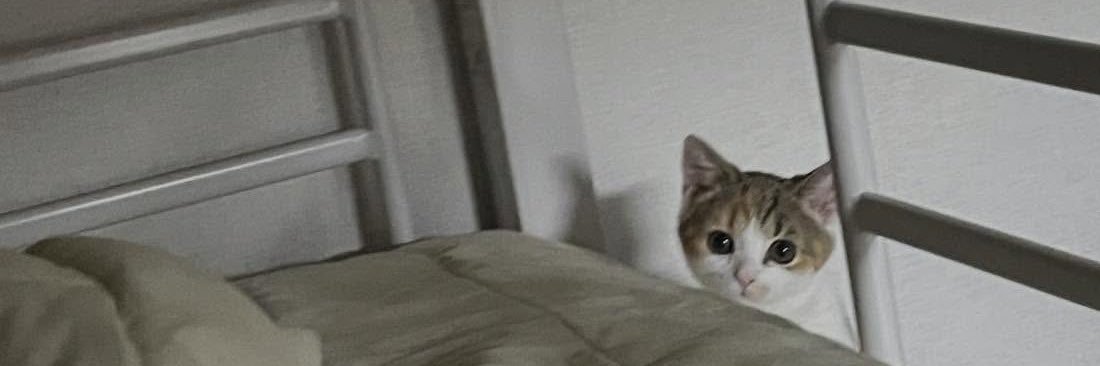 FLUFFY's banner
