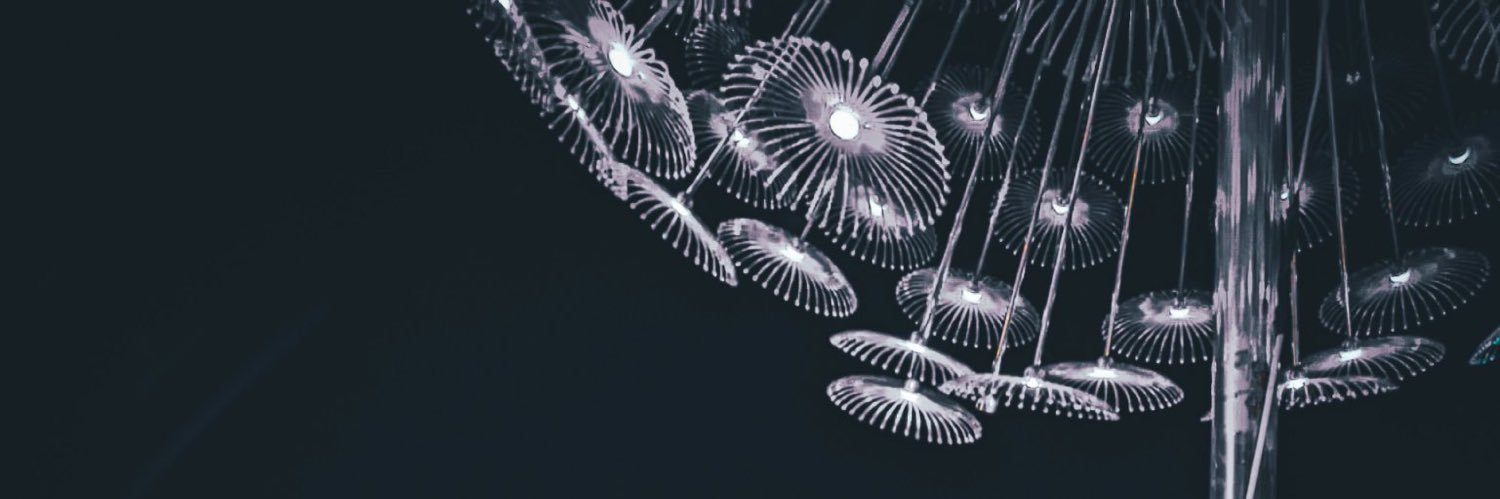 Nguyễn Duy's banner