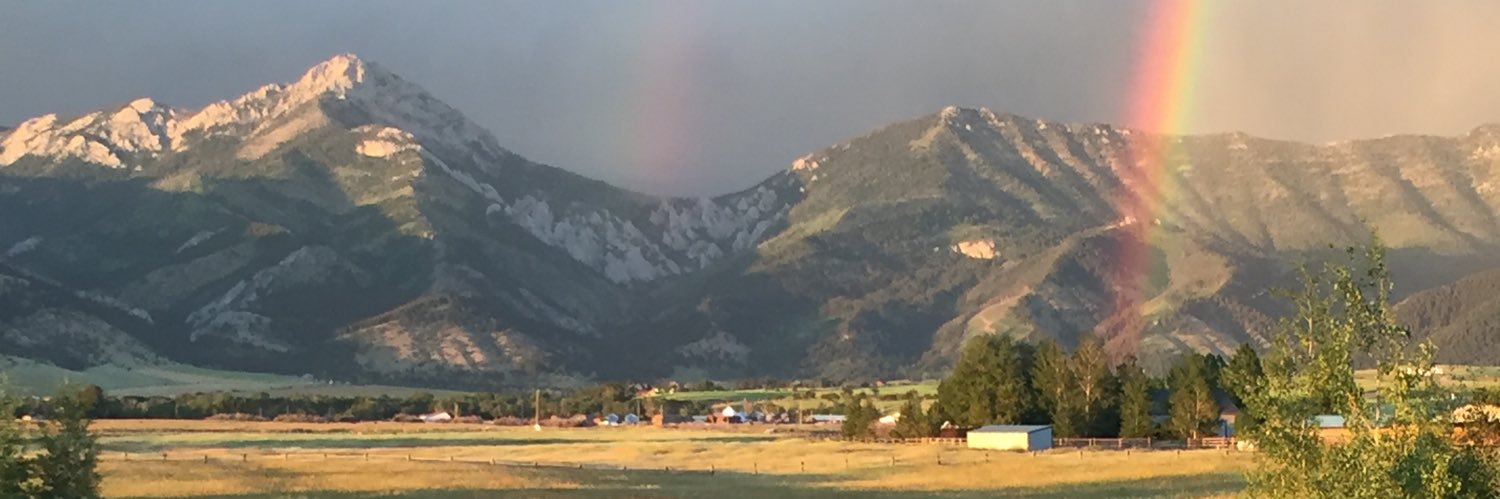 Steve Daines's banner