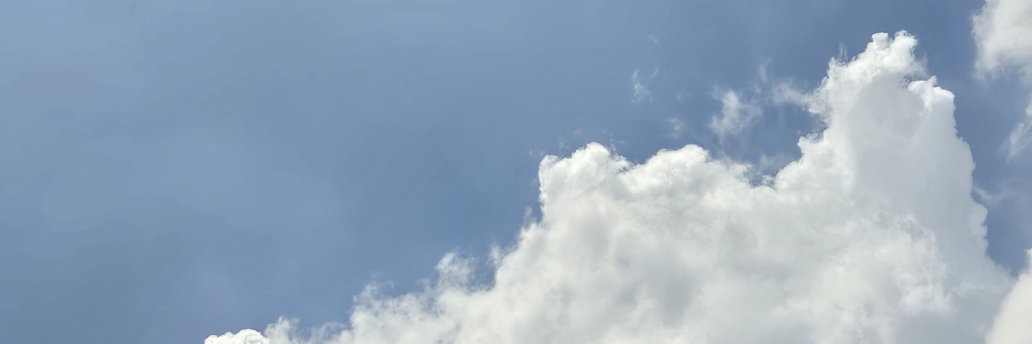 陽溜's banner