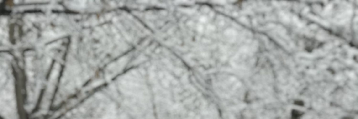 محمد امیدی فرد's banner