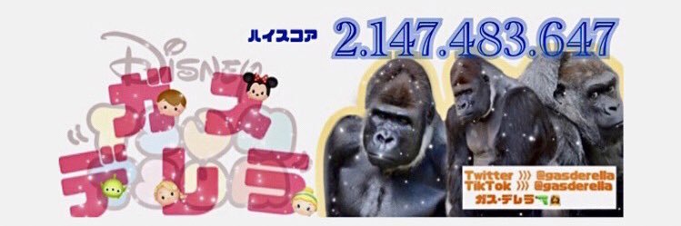 だいぶ疲れたぞ🦢🪽's banner