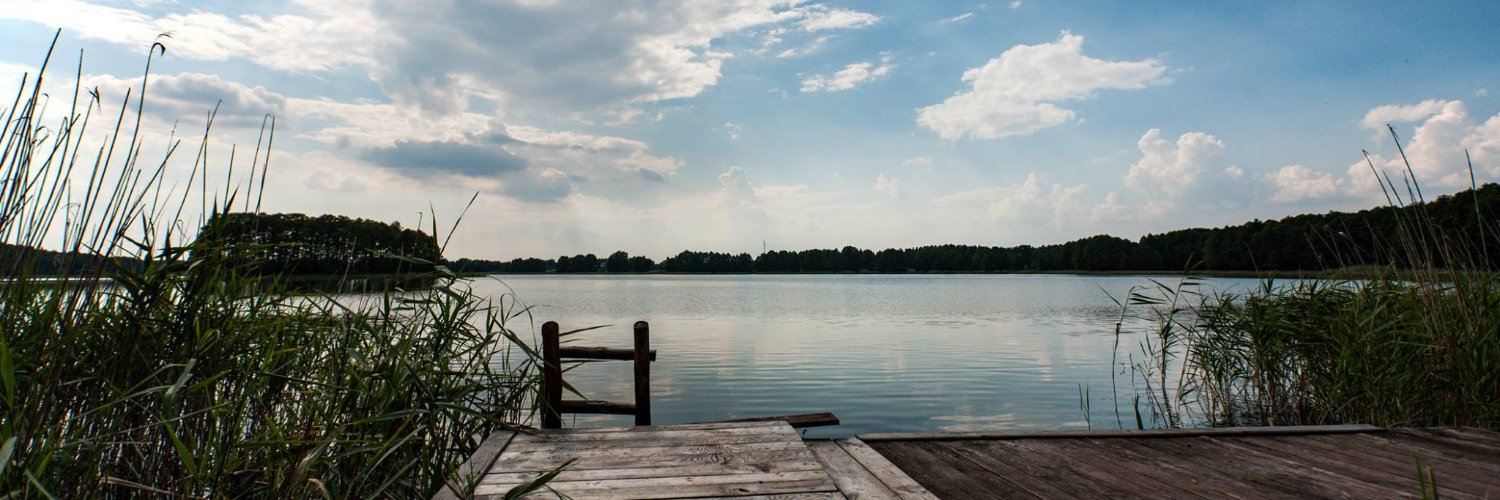 Monika Jaruzelska's banner