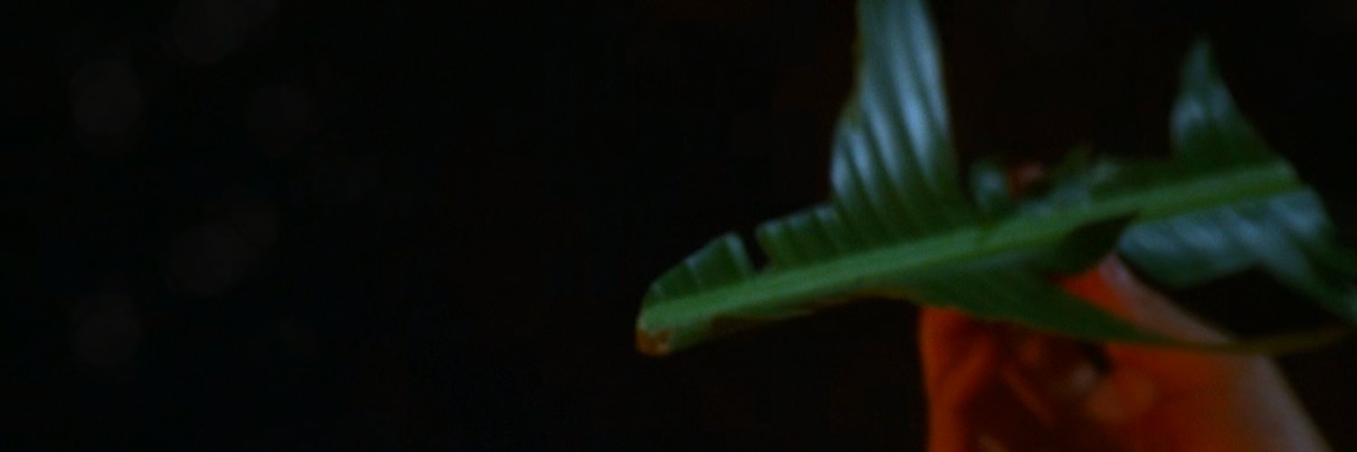 i am superwholost's banner