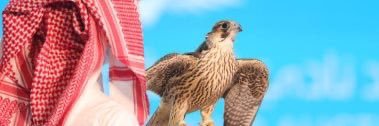محمد القحطاني's banner