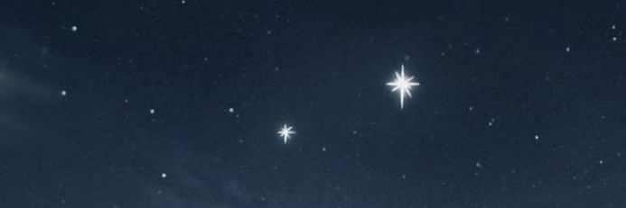 🦋's banner