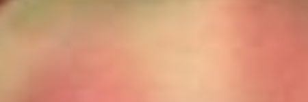 vq's banner