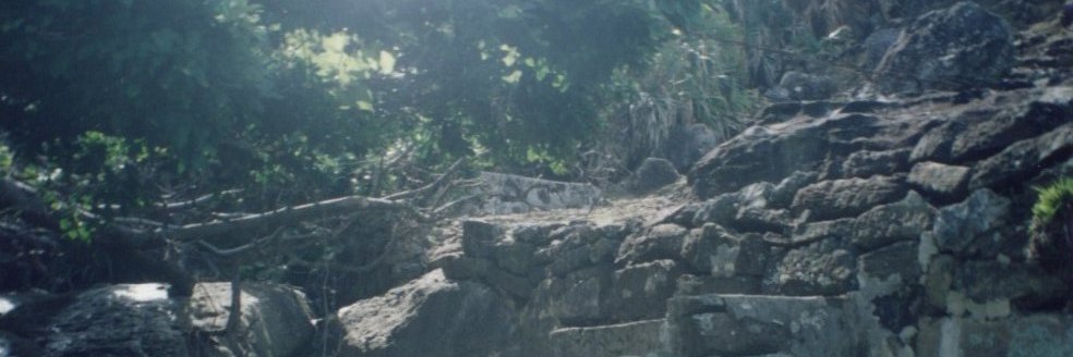 仲間均（石垣市議会議員）'s banner
