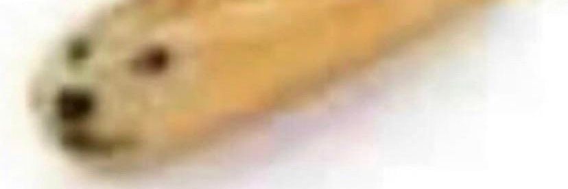 yurilobsters's banner