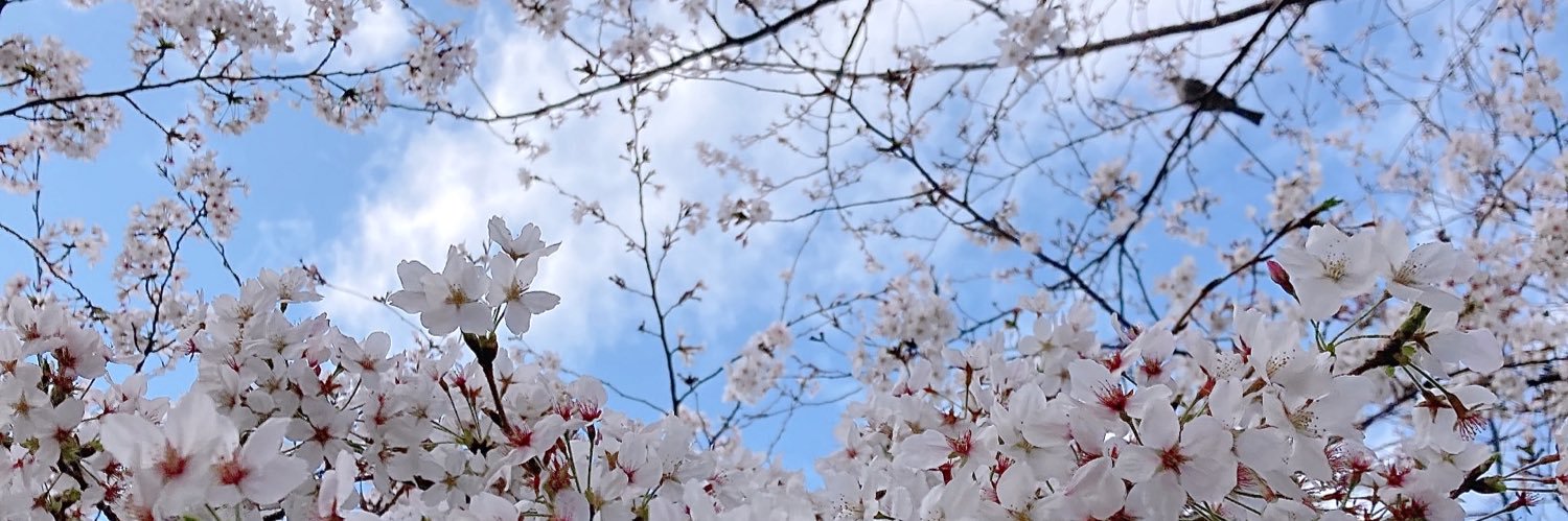 ちりとまと's banner