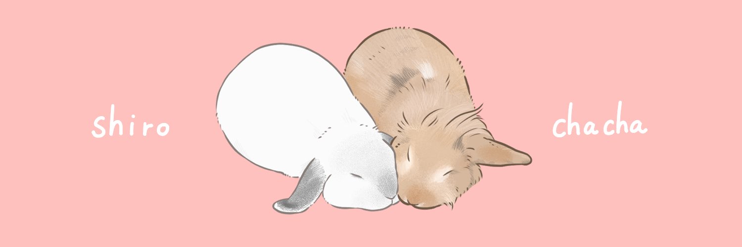 しろきの's banner
