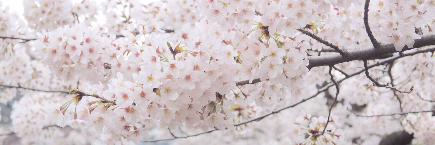 うめみ's banner