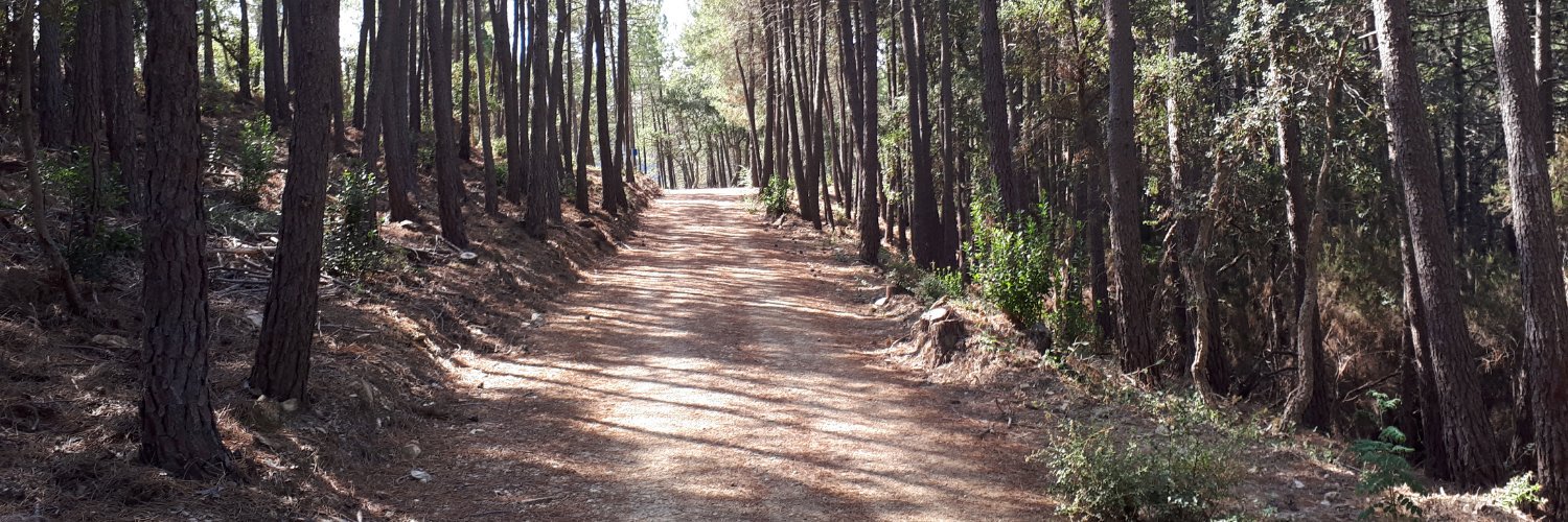 Seguim la Méteo's banner