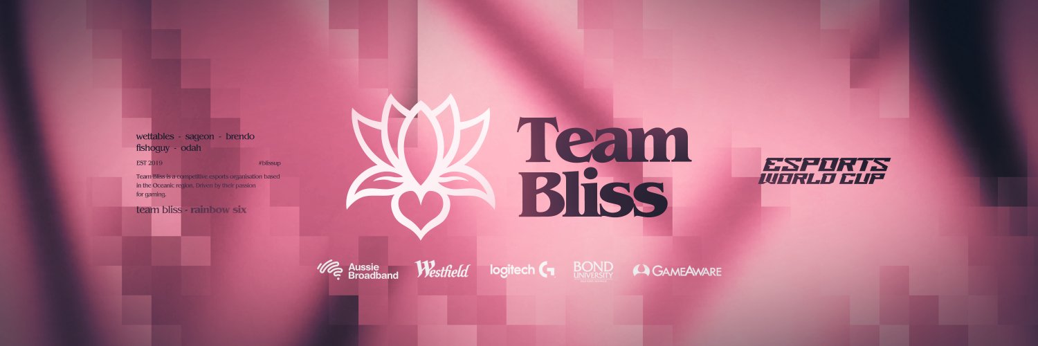 Team Bliss's banner
