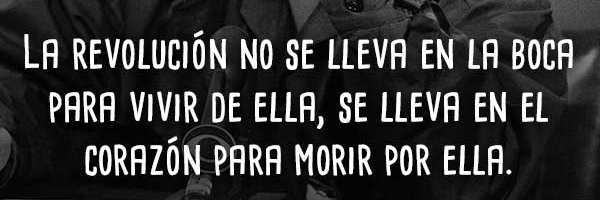 Alma Mía La Única's banner