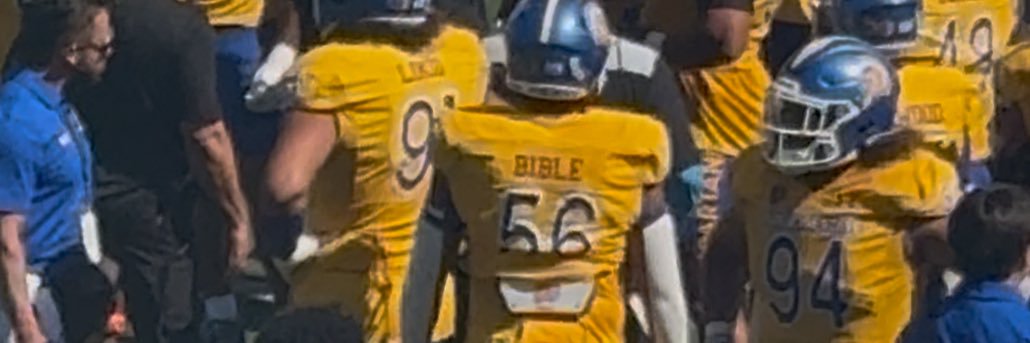 Bruce Bible's banner