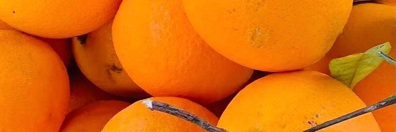 好歌不怕旧's banner
