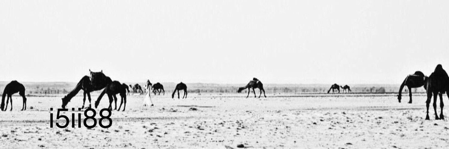 تساهيل's banner