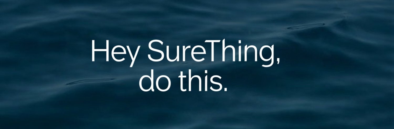SureThing's banner