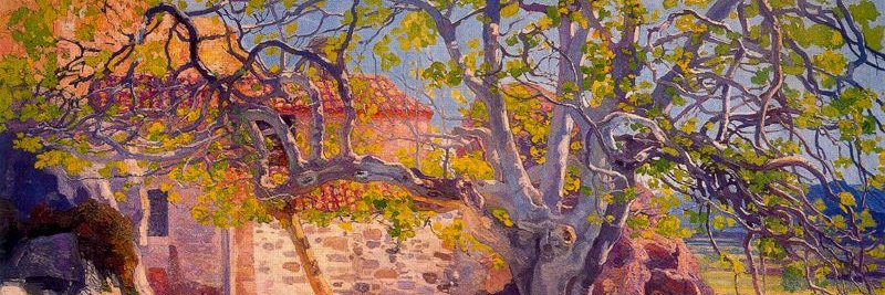 Dolors Clotet's banner