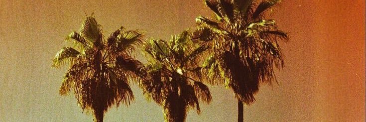 🍌's banner