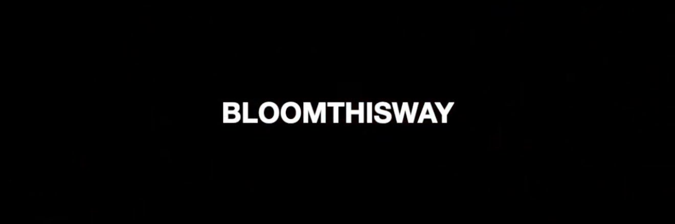 bloomthisway | she’s the best's banner