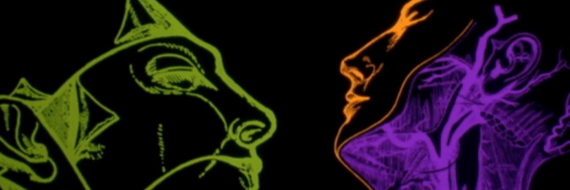 raine🦂's banner