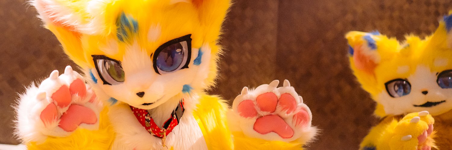 小猫呜诺's banner