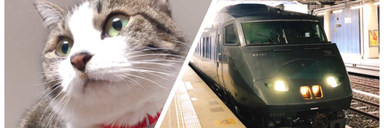 トラ猫/鉄道YouTuber🐈Travel Cat's banner