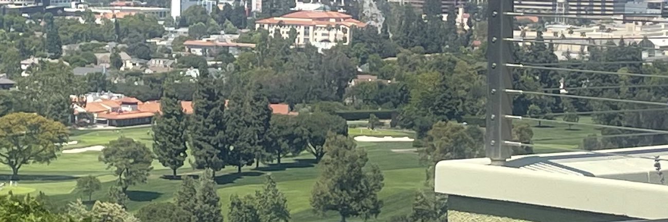 Ladytaurus32's banner