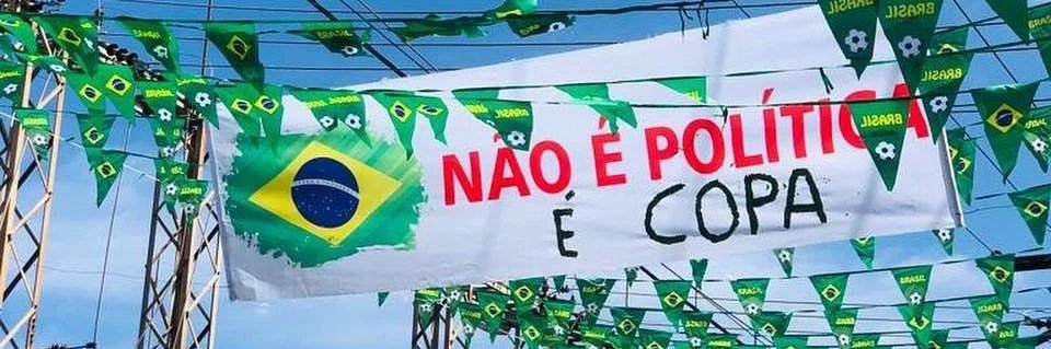 larinha 🇧🇷's banner