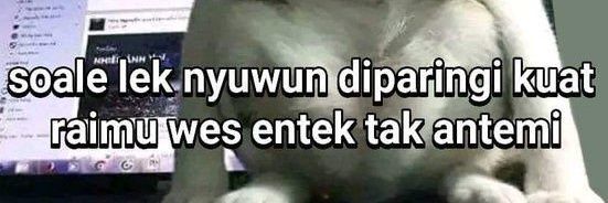 ver's banner