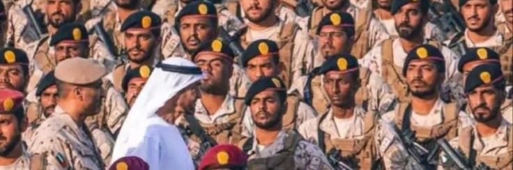بنت عدن ✌🏻's banner