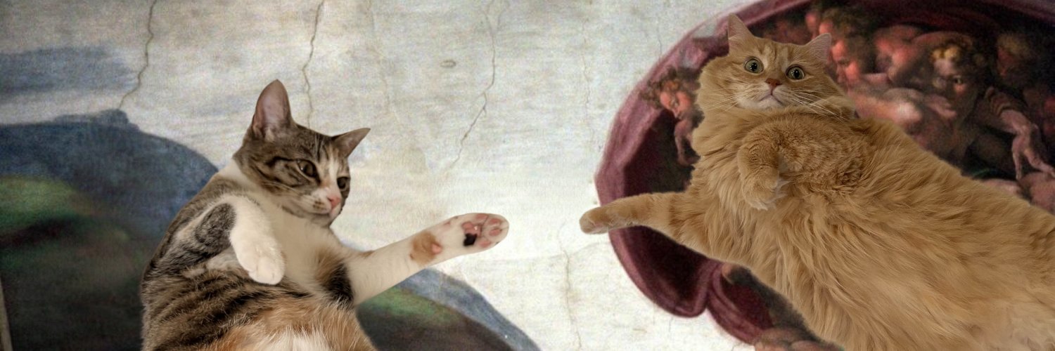 Foxie 🦊's banner