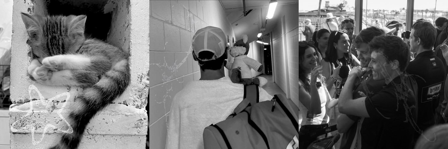 ✦'s banner