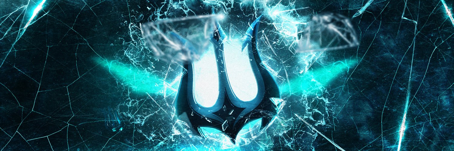 Vancouver Surge's banner