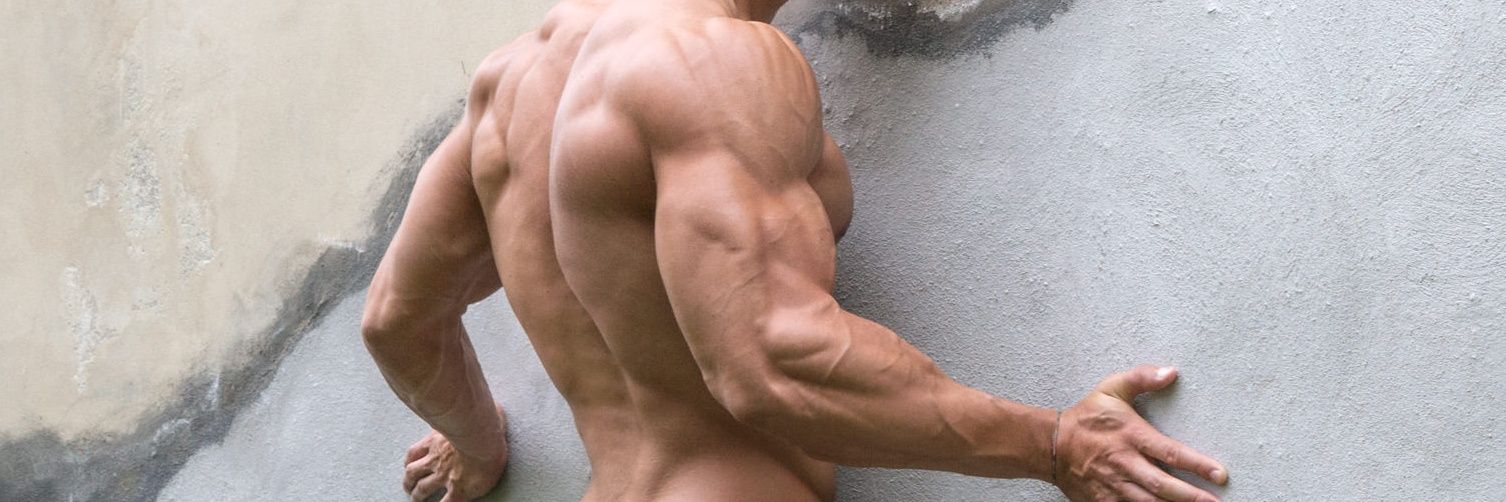 Daily Muscles 102k's banner
