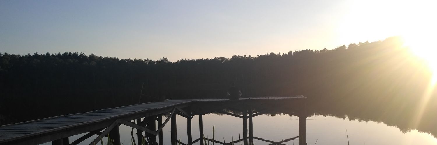 Ямайський DuLib's banner