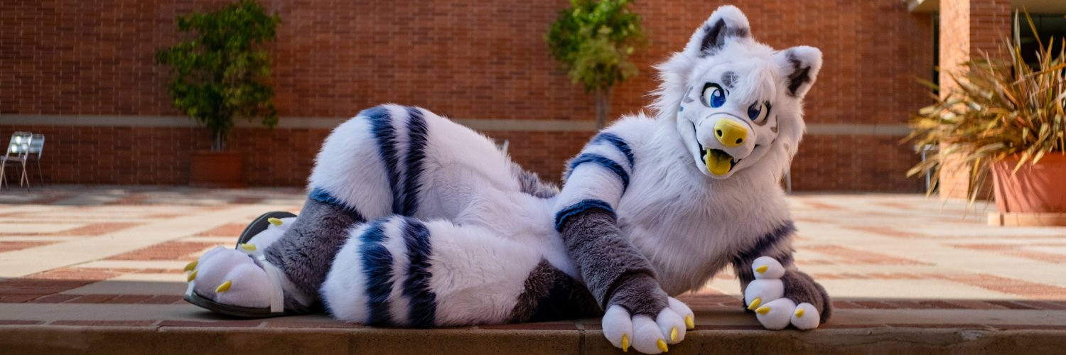 Amp @ Furlandia's banner