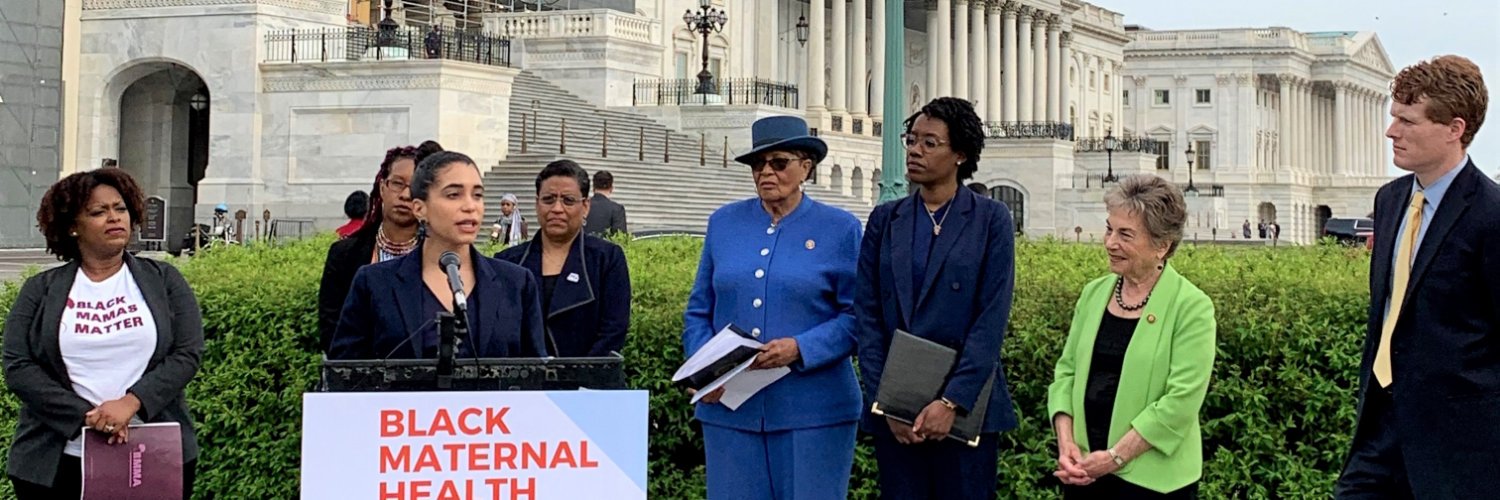 Black Maternal Health Caucus's banner