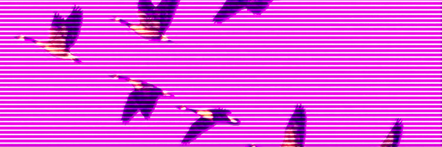 goose 𓅬's banner