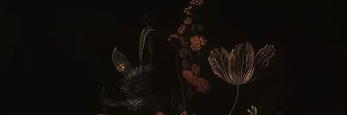 もやしの逆襲688's banner