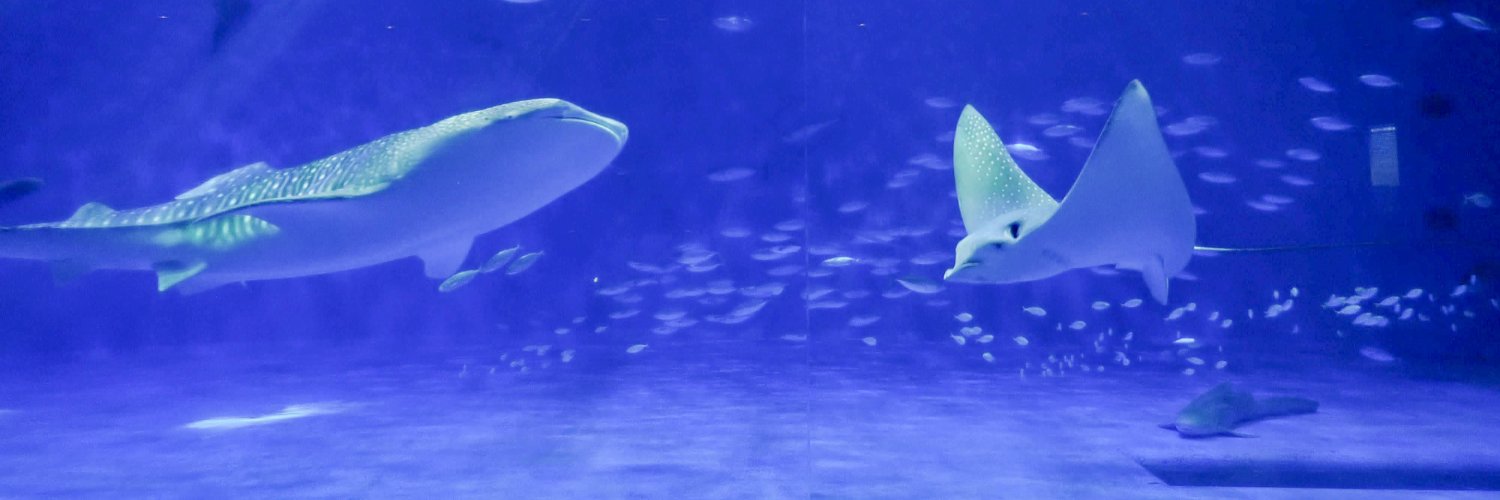 いおワールドかごしま水族館【公式】's banner