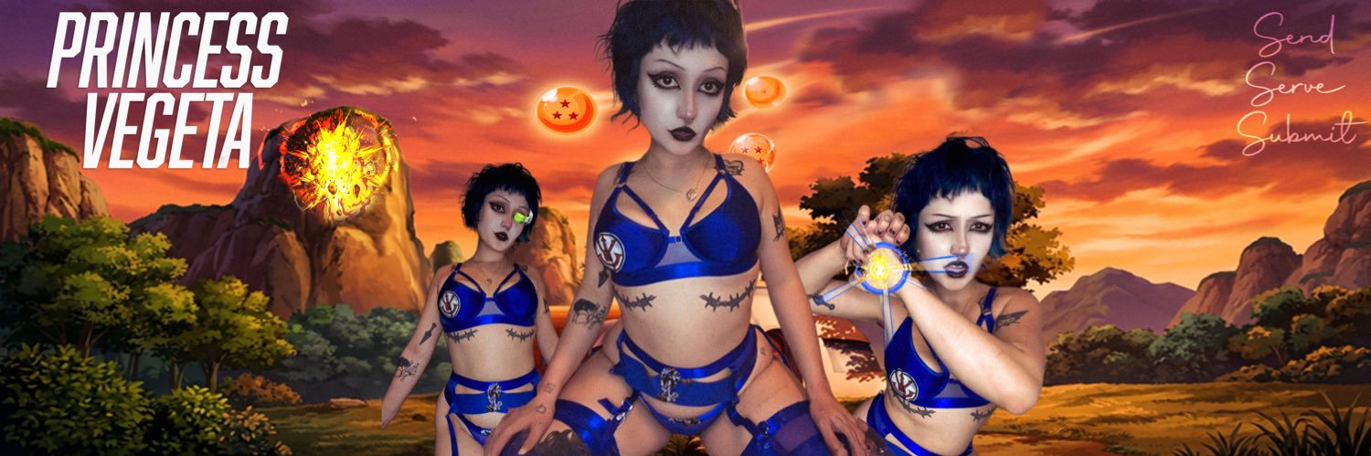Princess Vegeta *findom*'s banner