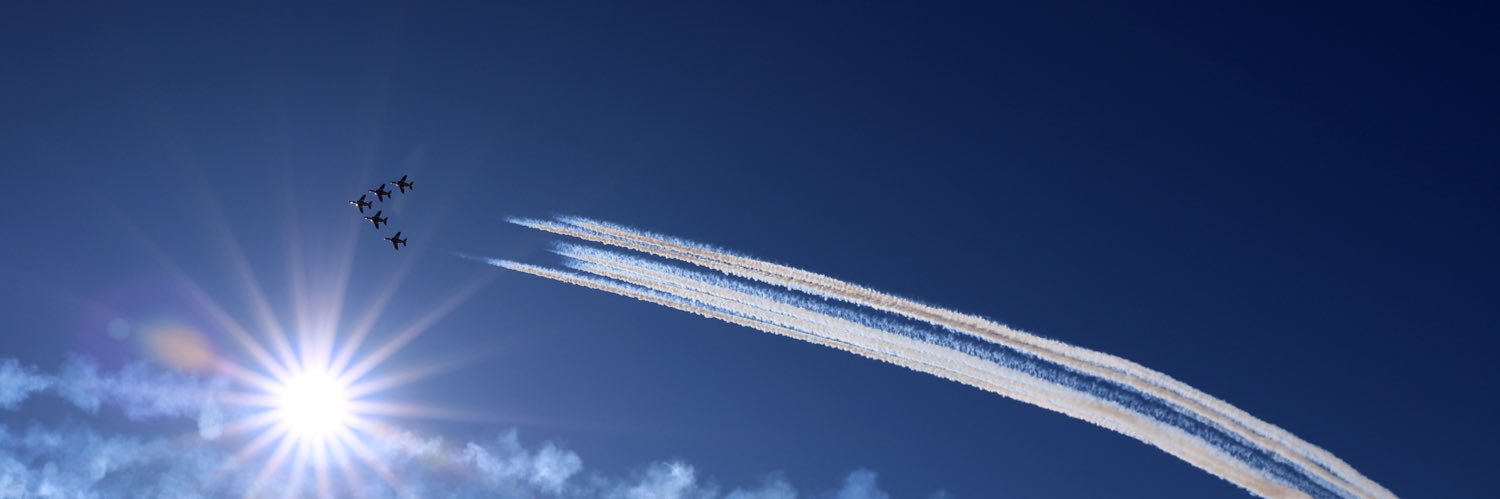 Japan Air Self-Defense Force's banner